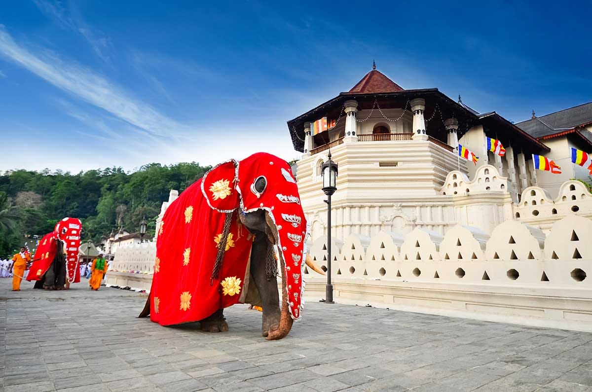 Temple Of The Tooth Relic